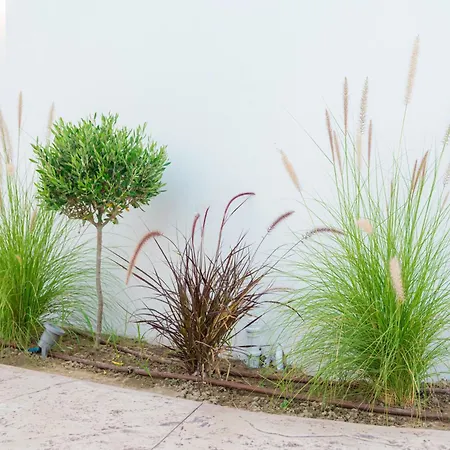 Gemini Theologos (Rhodes)